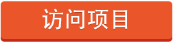 访问项目.png
